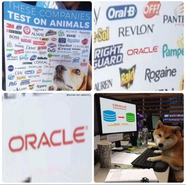 How dare you Oracle