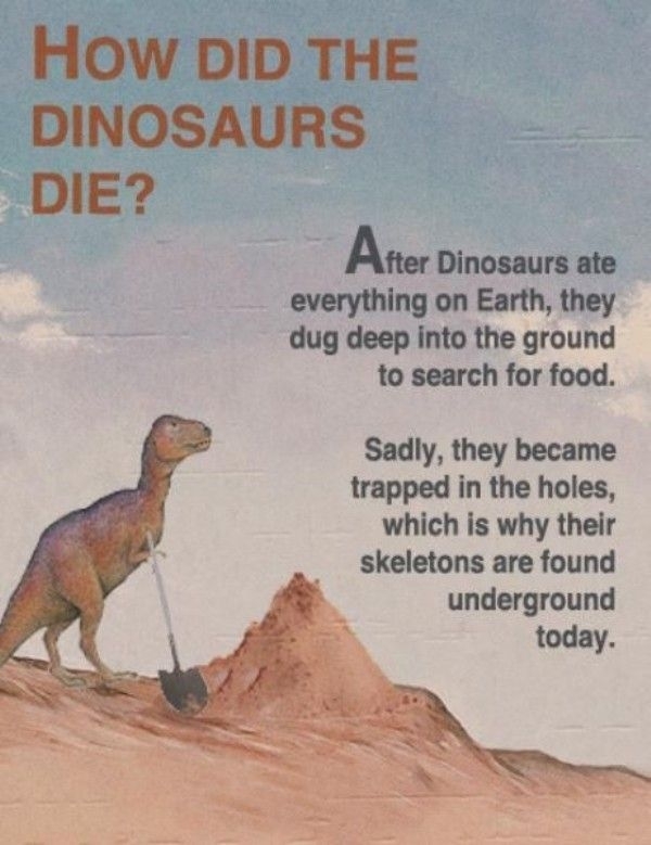 How did the dinosaurs die