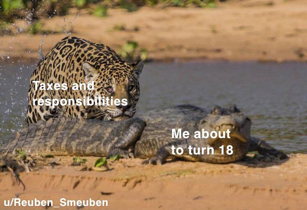 How do I adult