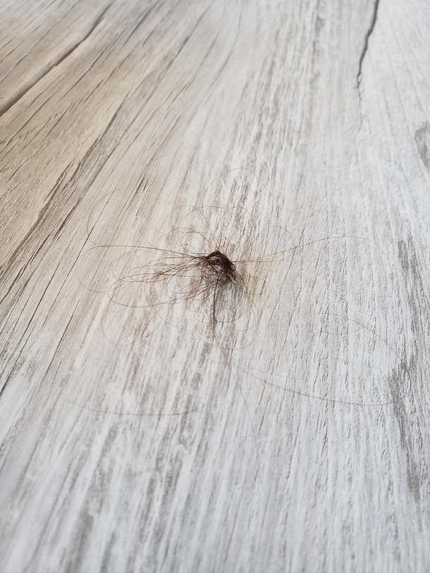 How do I make my wife stop spawning creepy hair spiders