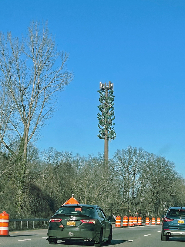 How do you do fellow trees