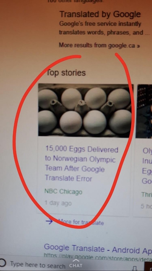 How does a google translate error send  eggs to the Norwegian Olympic team