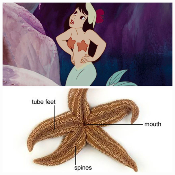 How does this bra even work Oh