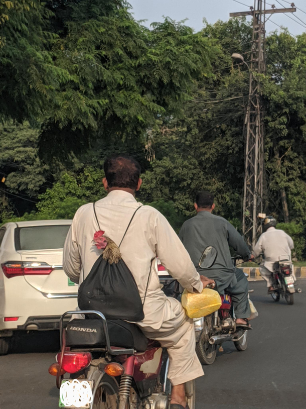 How else are you supposed to take your cock out for a ride