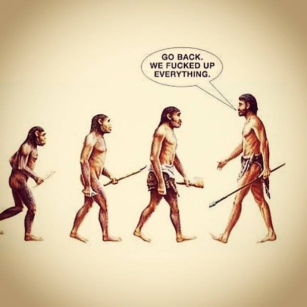 How Evolution should have worked