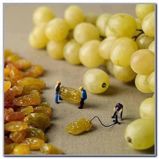 How grapes are created