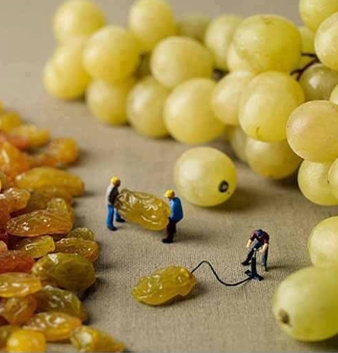 How grapes are made