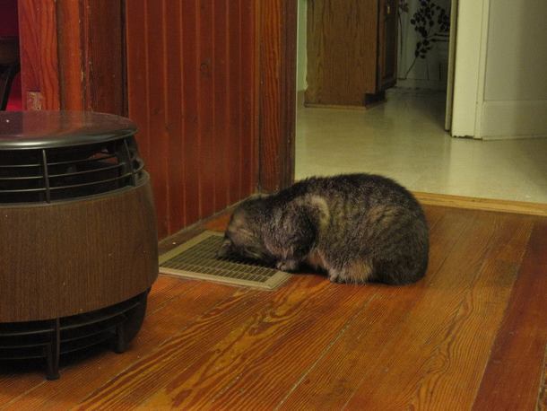 How hot is it where you are today Hot enough to stick your head on the AC vent