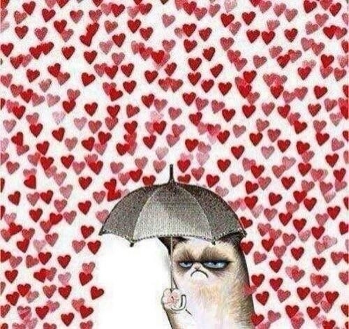 How I feel about Valentines Day coming up