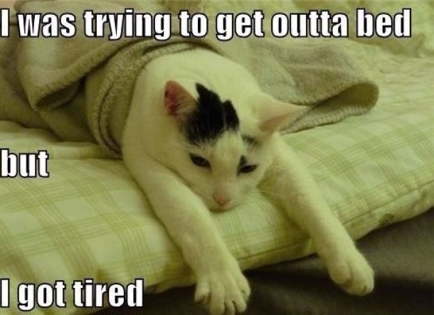 How I feel every Mondayand Tuesdayand Wednesday