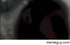 How I feel trying to leave facebook