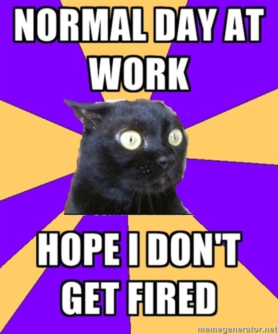 How I feel when my boss is in the office