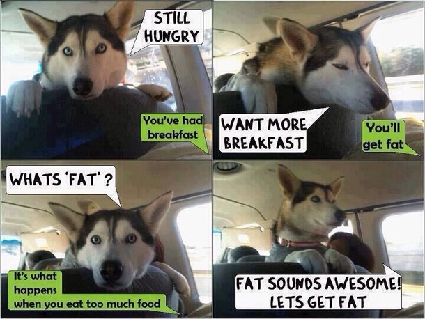 How I imagine my dog