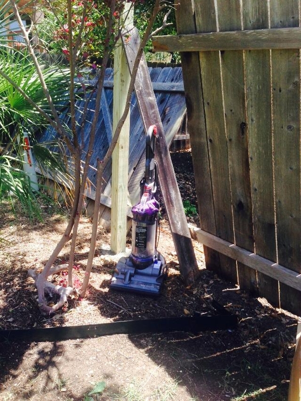 How I kept my dog from leaving through our broken fence