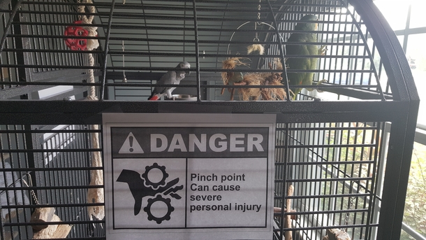 How I let my guests know the birds arent friendly