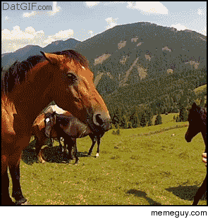 How I pictured Reddit then I discovered downvoters