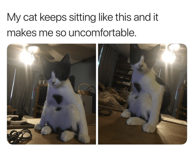 How I sit