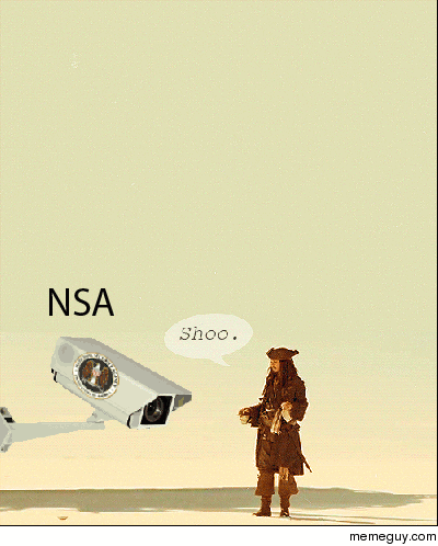 How i view reddit on the NSA