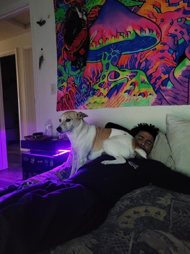 How I wake up every day