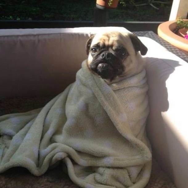 How Ill be spending New Years
