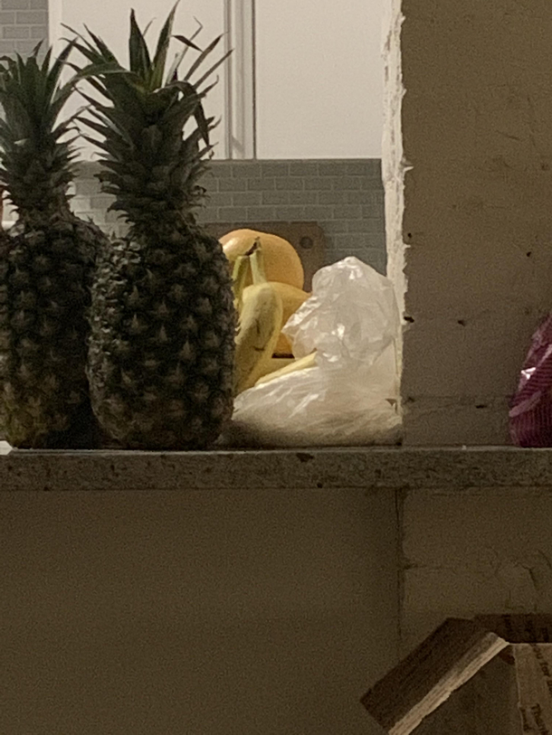 how many percent chance that my banana is secretly planning to murder me 