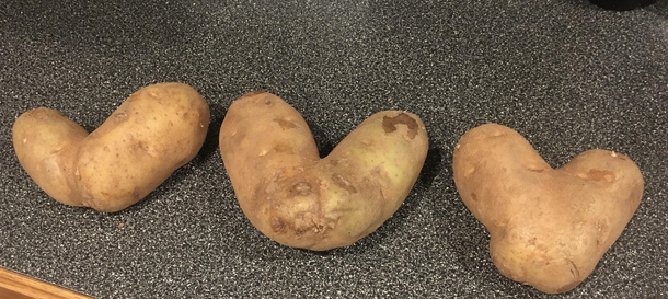 How many potatoes do you count