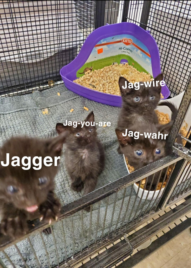 How many ways can you pronounce Jaguar