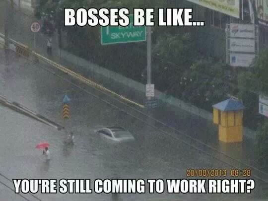How my boss is