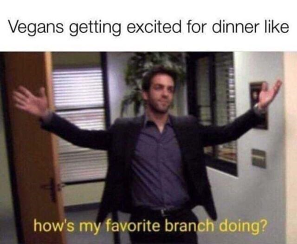 How My Favorite People Doing