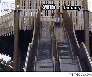 How my year went