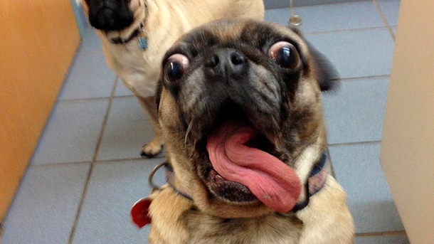 How porn stars look when the guy is about to finish