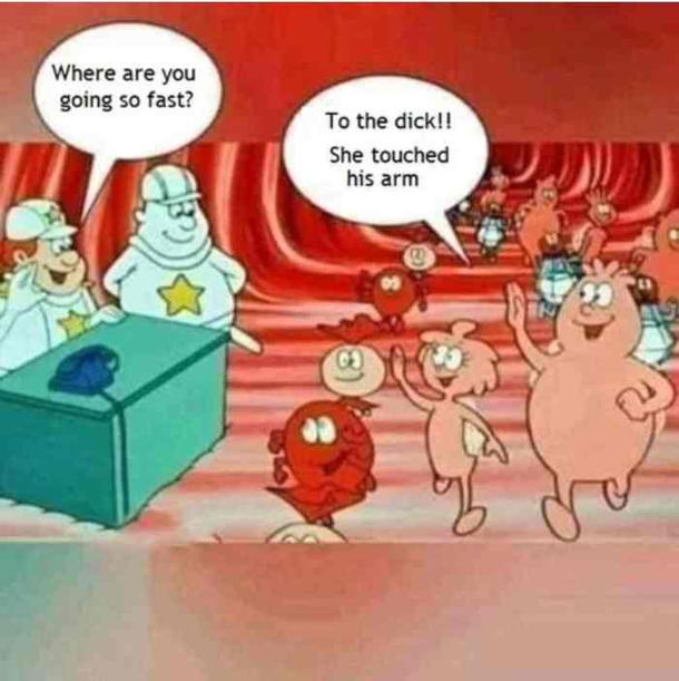 How the body works
