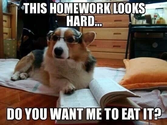 you're running late did the dog eat your homework again