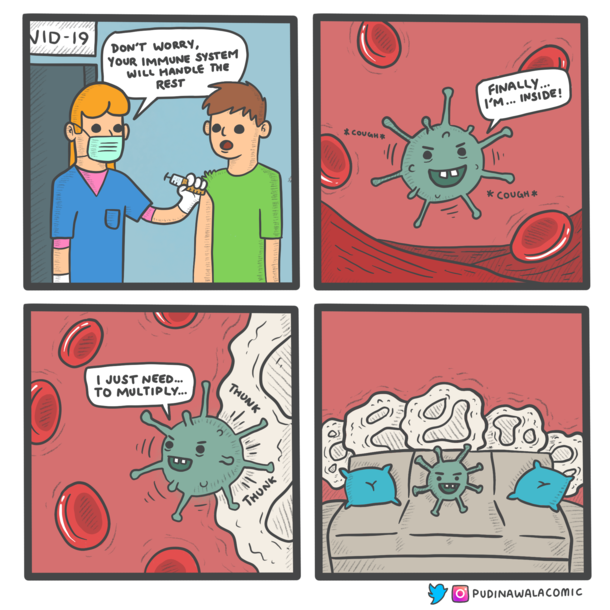 How the vaccine really works 