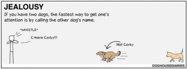 How to Call a Dog