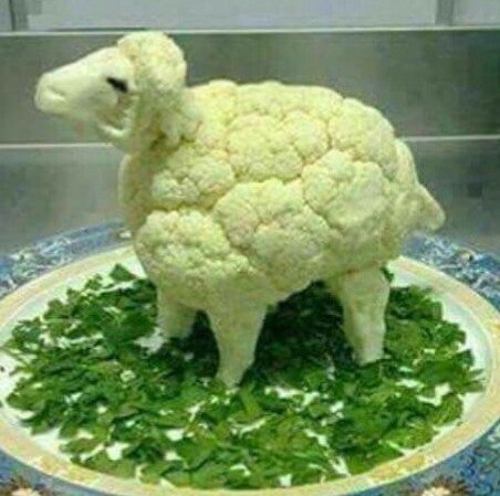 How to confuse a vegan