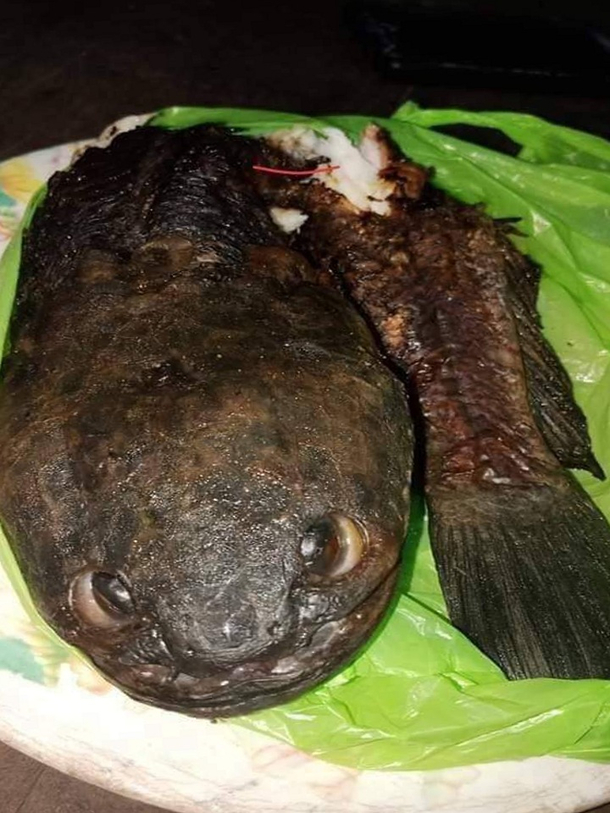 How to cook your dragon