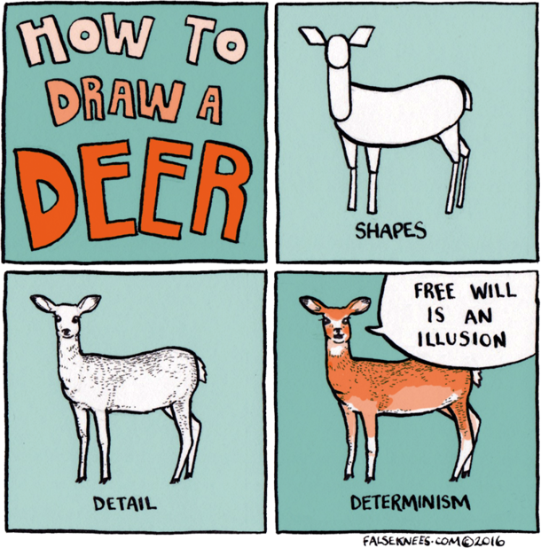 How To Draw A Deer