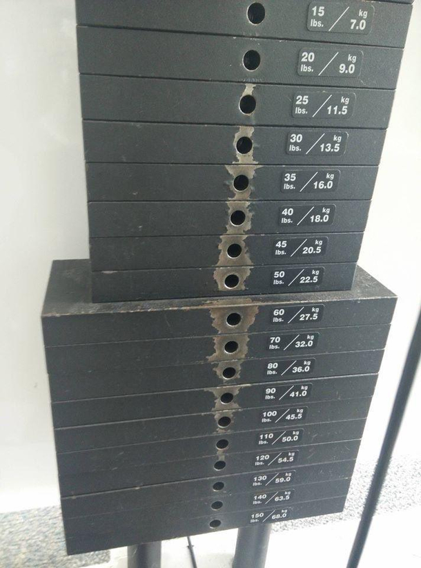 How to explain Normal Distribution to a bro at the gym