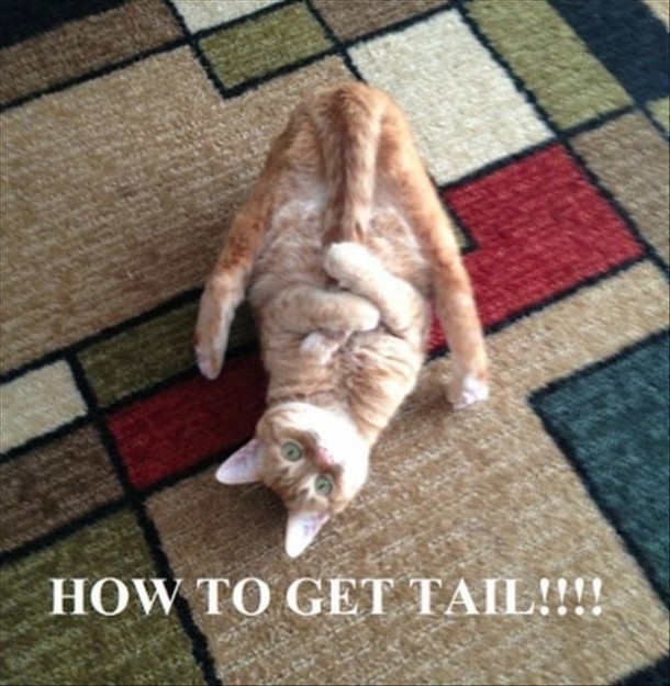 How to get tail