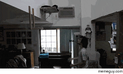 How to involve your pet in your hobby