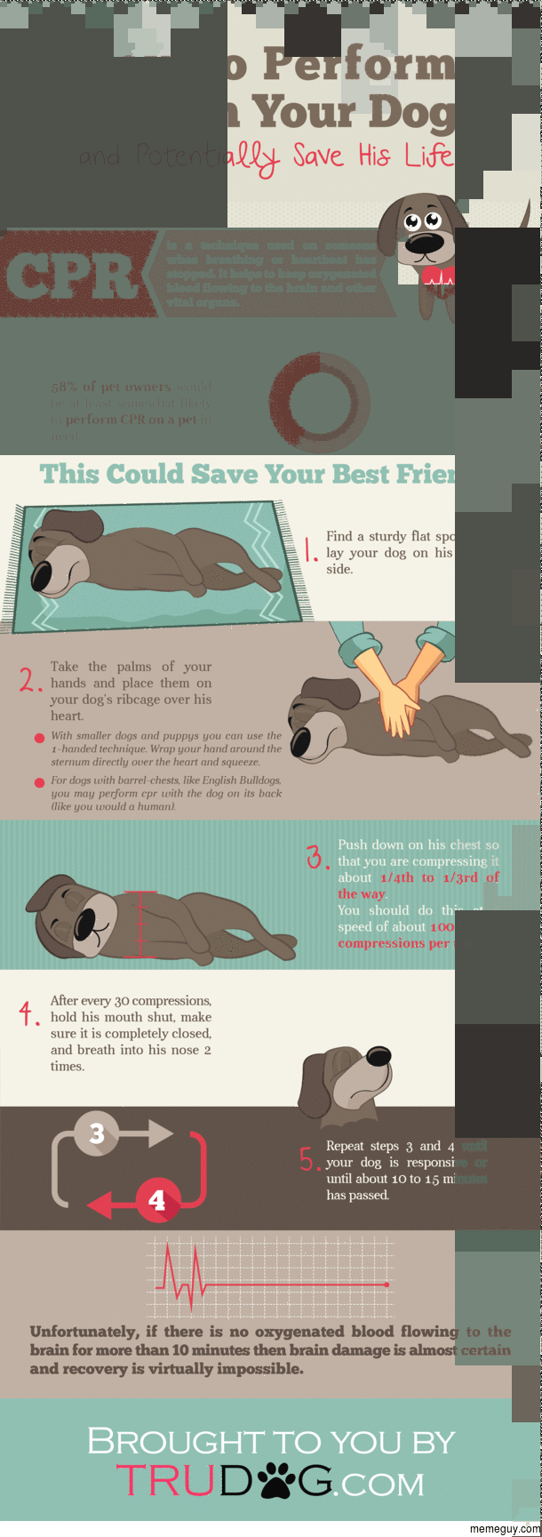 How to Perform CPR on Your Dog