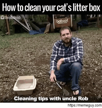 How to properly clean your cats litterbox