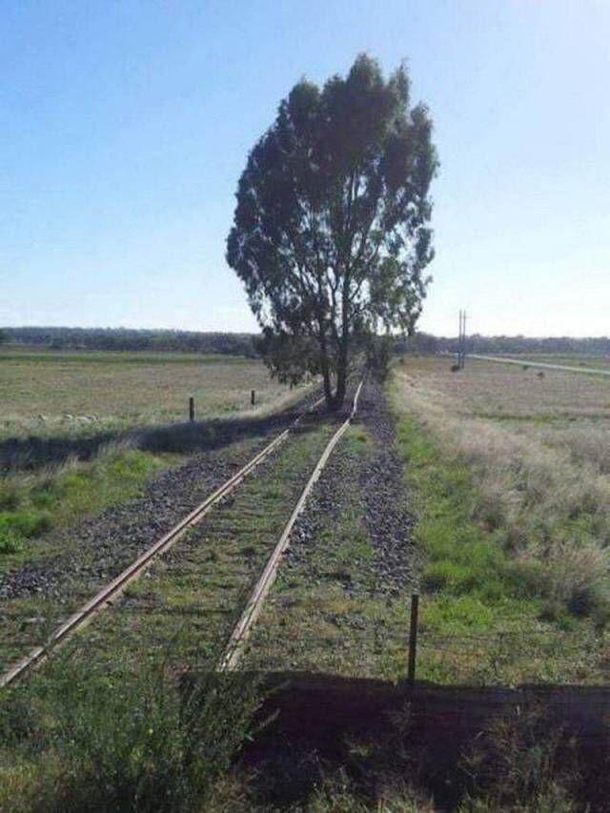 How to tell when the train isnt coming