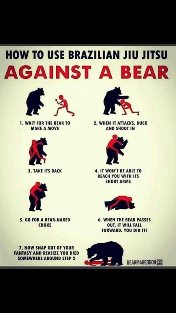 How to use Brazilian Jiu Jitsu AGAINST A BEAR