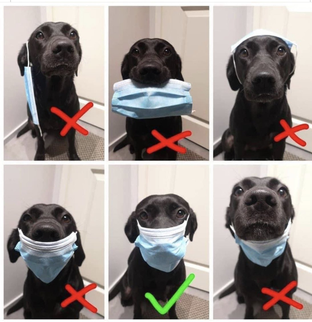How To Wear A Mask