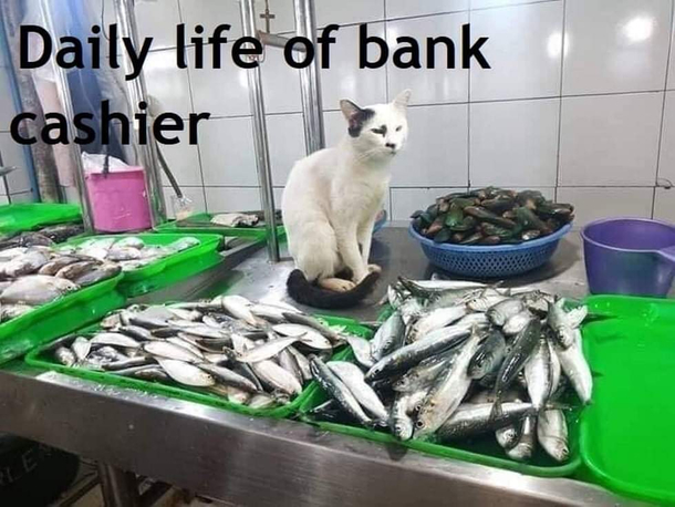 How true is this 