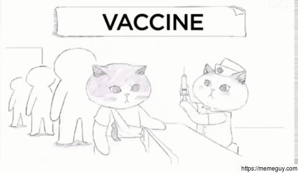 How vaccine works