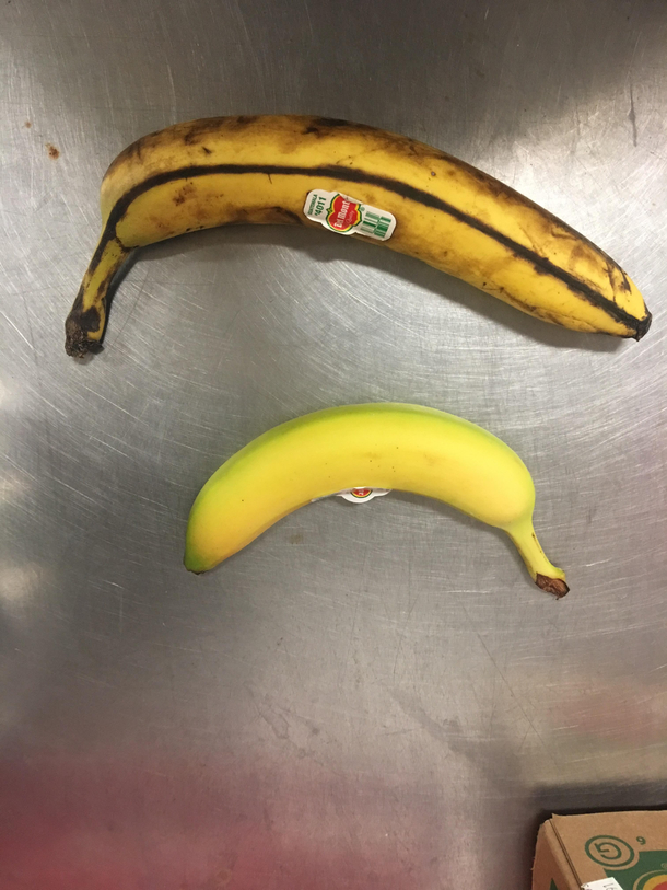 Huge banana Banana for scale