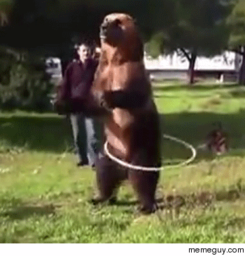[Image: hula-hooping-bear-11246.gif]